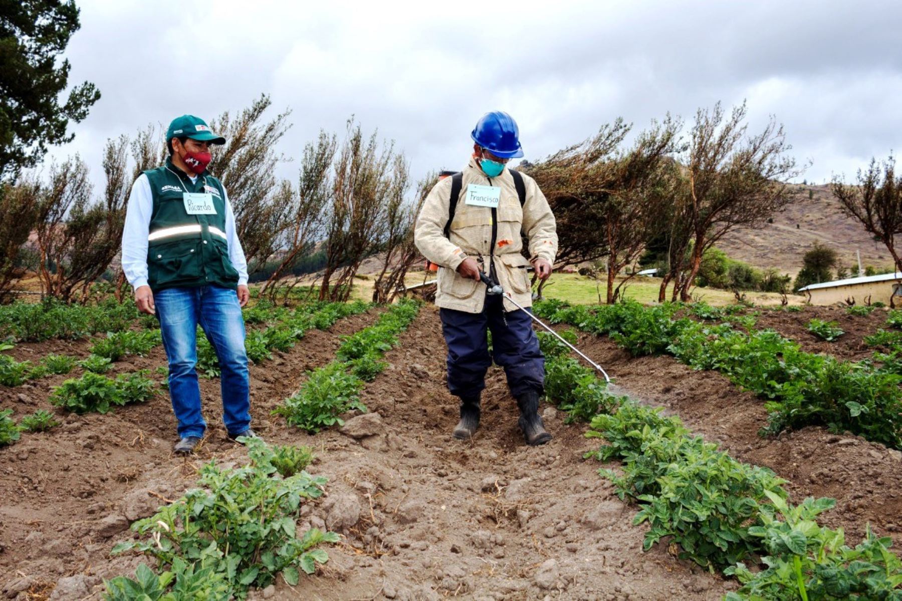 Agro - Fertilizantes